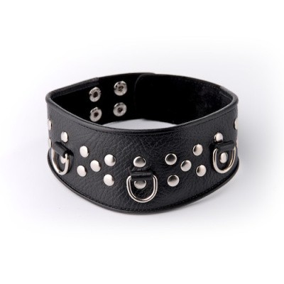 ОШЕЙНИК кожа (3115-1)